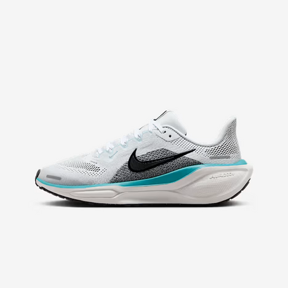 Nike Pegasus-41 (10A)
