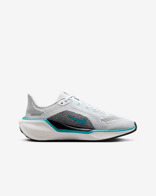 Nike Pegasus-41 (10A)