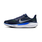 Nike Pegasus 41